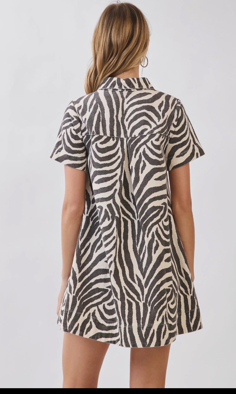 Ava Collared Mini Dress