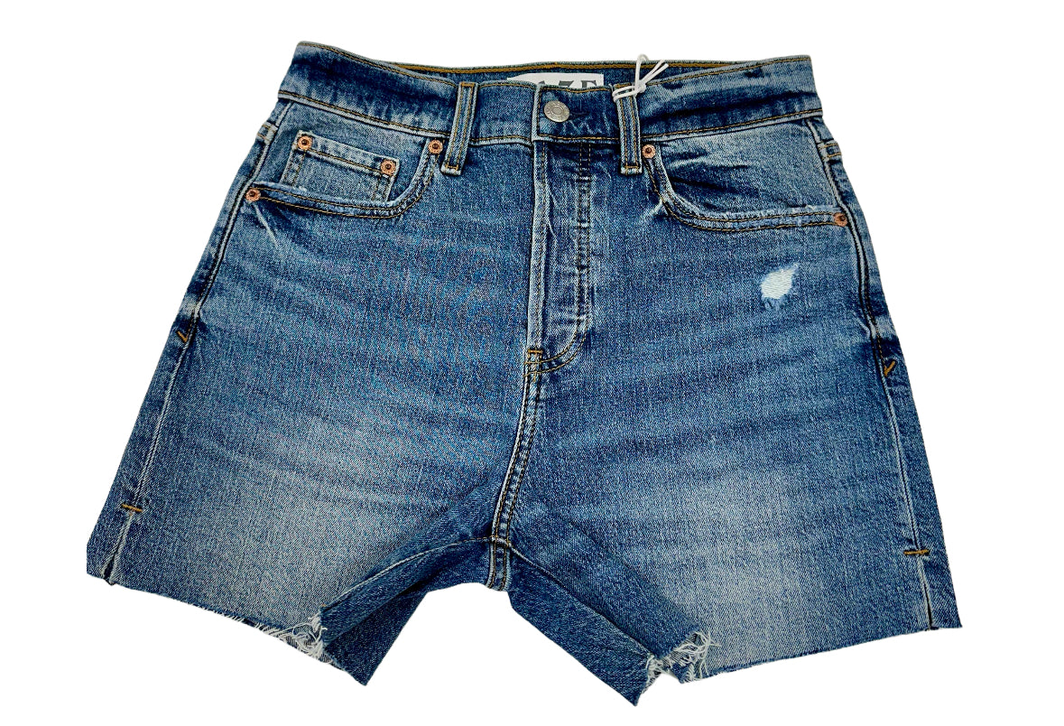 Bottom Line High Rise Vintage Short