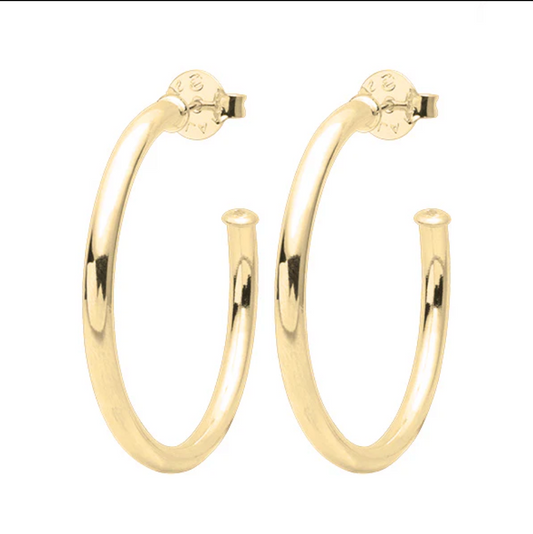 Small Everybody's Favorite Hoops