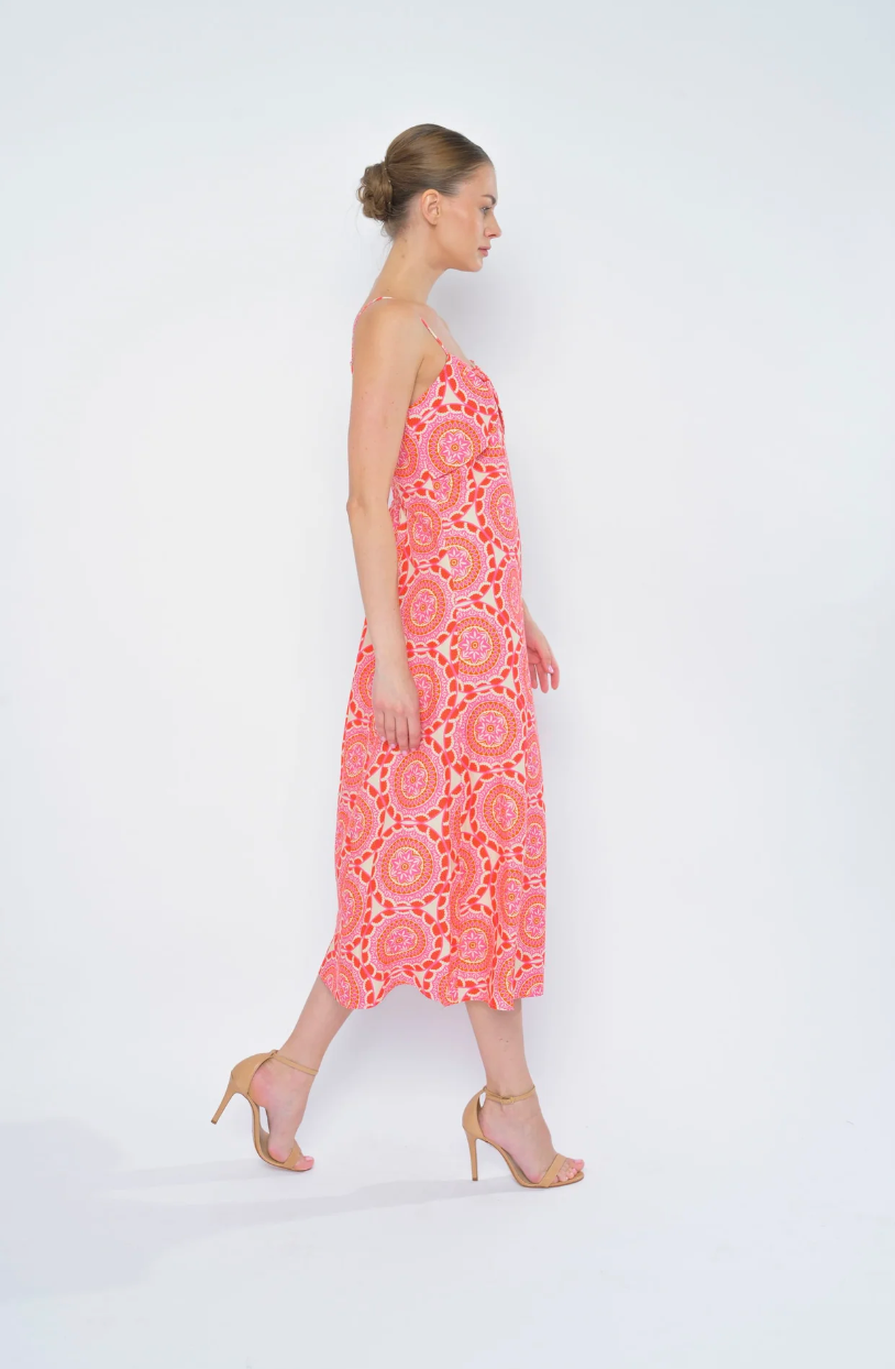Kienna Dress in Courtland