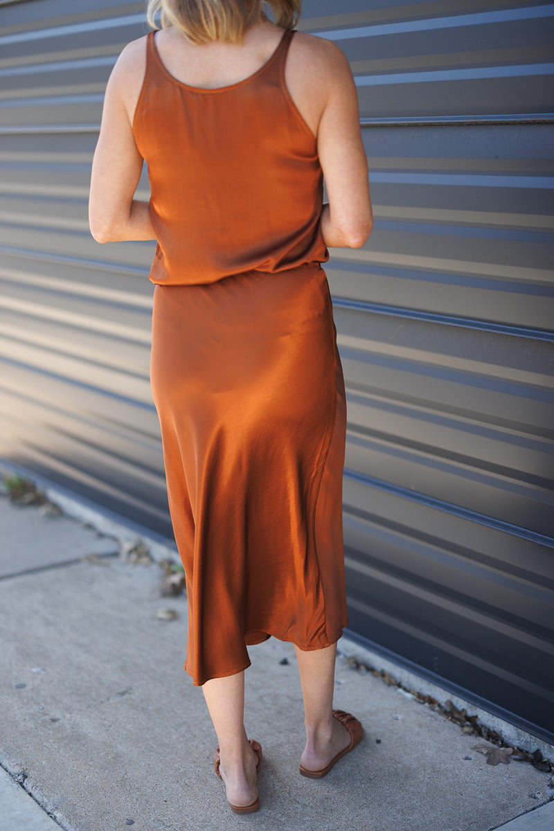 FINAL SALE Sylvia Silky Top in Clay