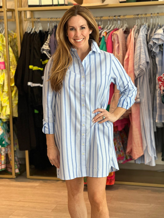 The Long Sleeve Shirt Dress in Blue Stripe