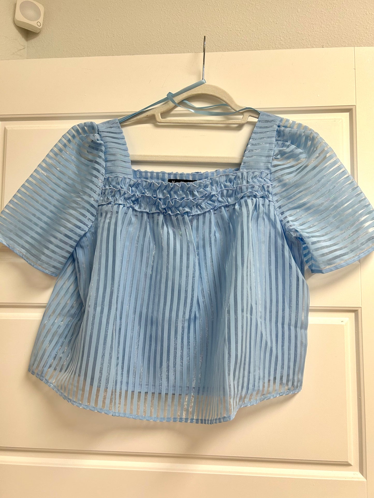 Blue Organza Top