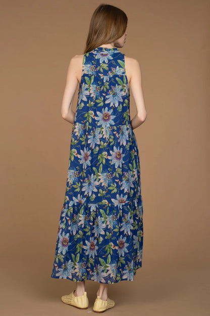 Ro Long Dress in Passion Lapis
