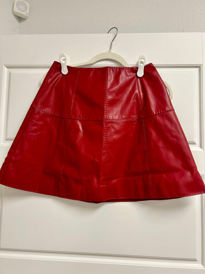 Riley Faux Leather Skirt