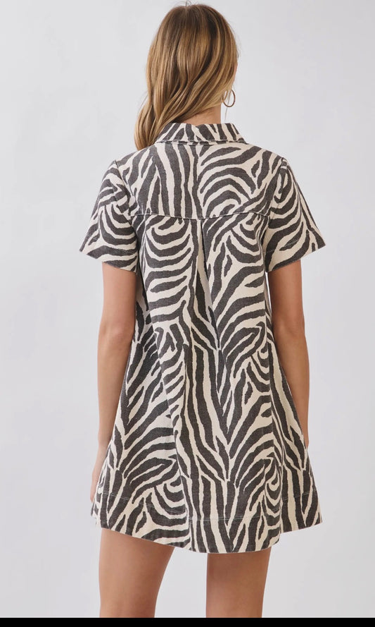 Ava Collared Mini Dress