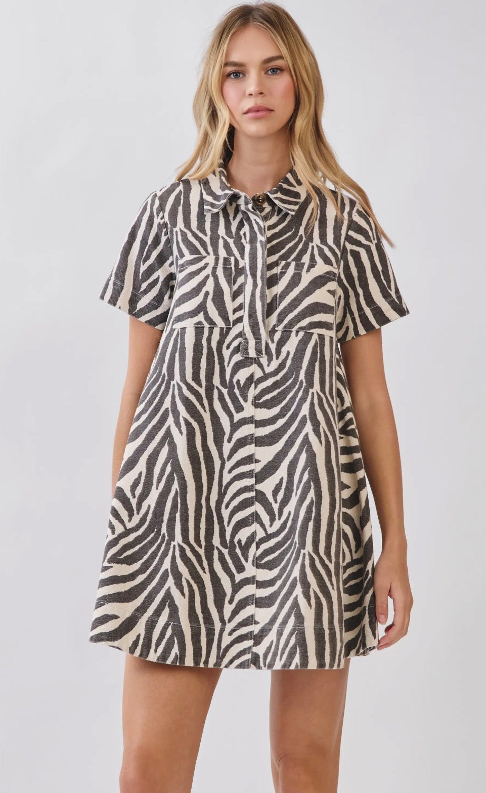 Ava Collared Mini Dress