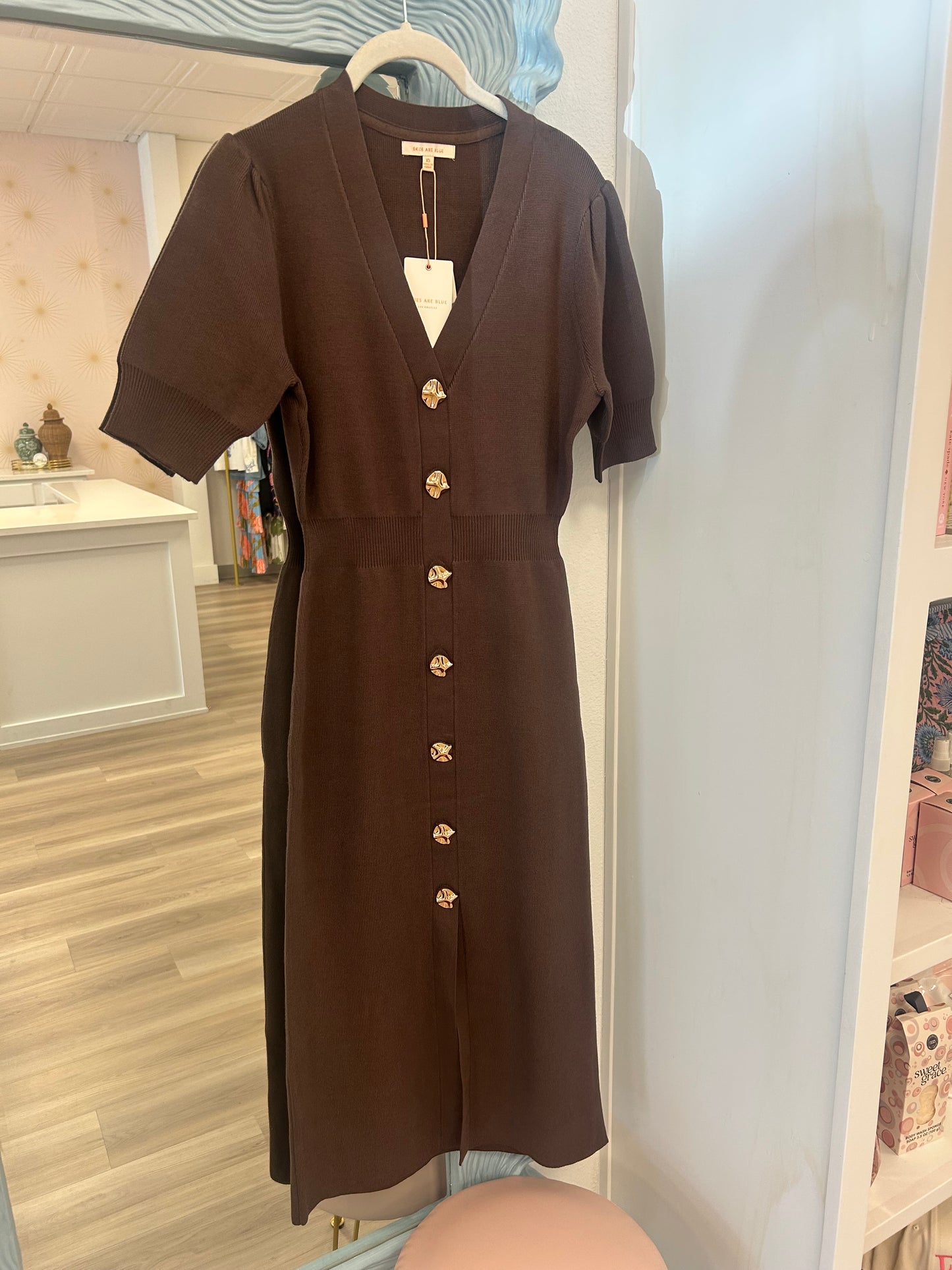 Espresso Elegance Button-Down Dress