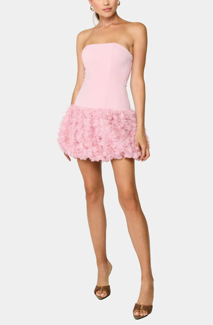 Madelena Mini Dress in Pink