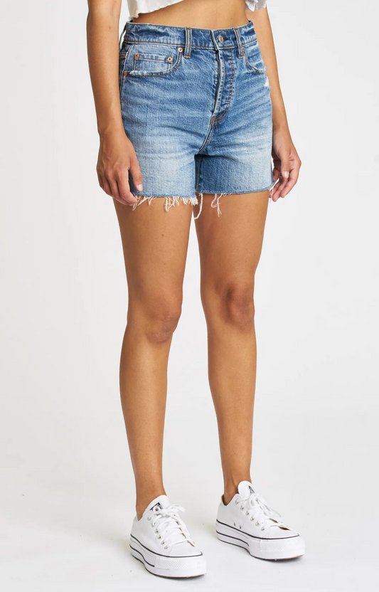 FINAL SALE Bottom Line High Rise Vintage Short