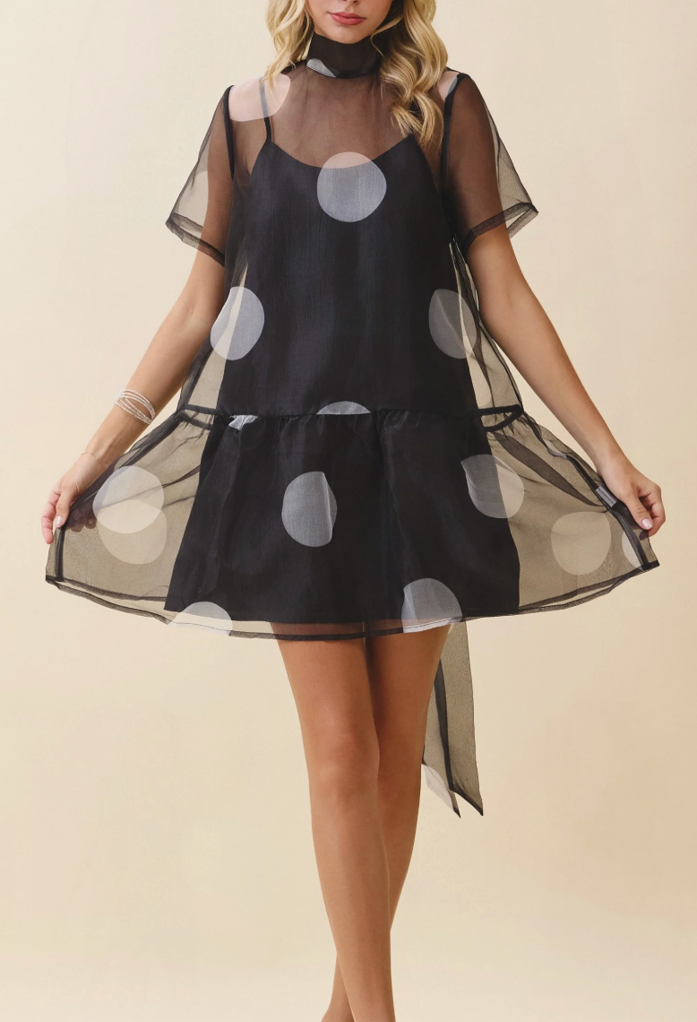 Sheer Polka Dot Bow Tie Dress