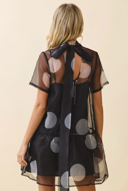 Sheer Polka Dot Bow Tie Dress