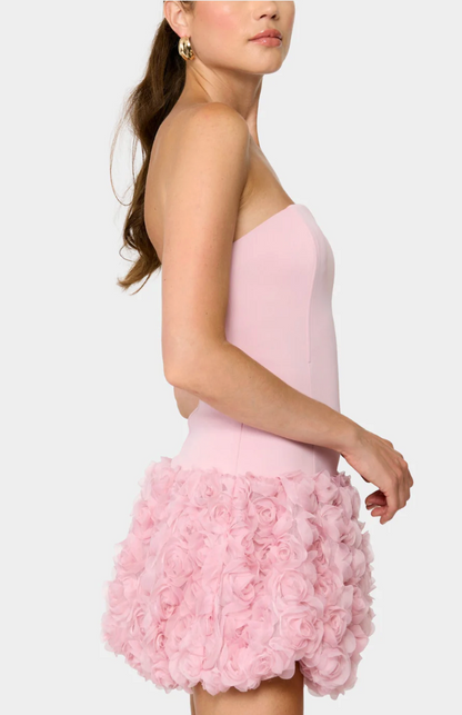 Madelena Mini Dress in Pink