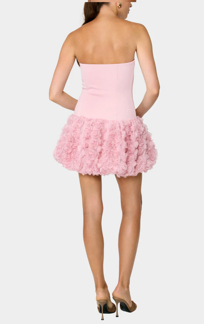 Madelena Mini Dress in Pink