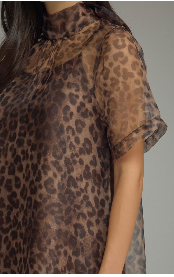 Leopard Print Sheer Overlay Maxi Dress