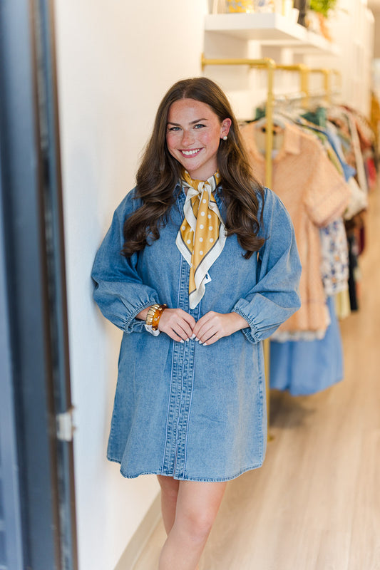 Dexi Denim Dress