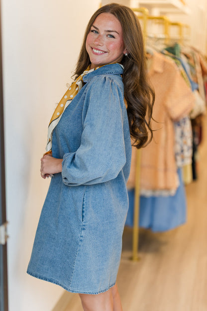 Dexi Denim Dress