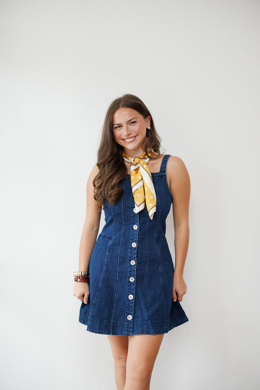 Melody Denim Button Down Shift Dress