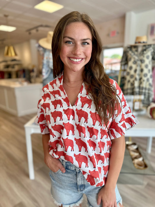 Kimono Pleated Top in Pigs