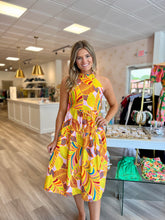 Load image into Gallery viewer, Jaques Dress in Farm Valley
