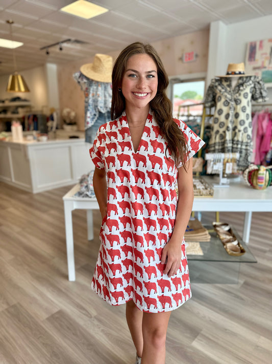 Nancy Dress in Pigs