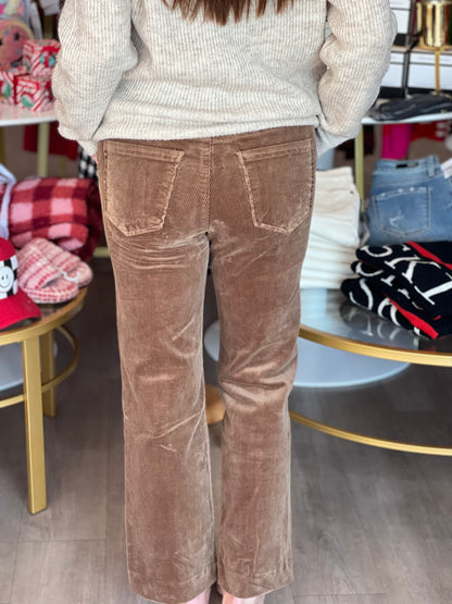 Chestnut Front Seam Pant
