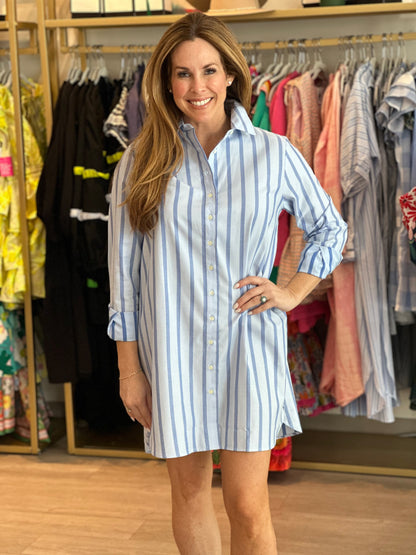 The Long Sleeve Shirt Dress in Blue Stripe
