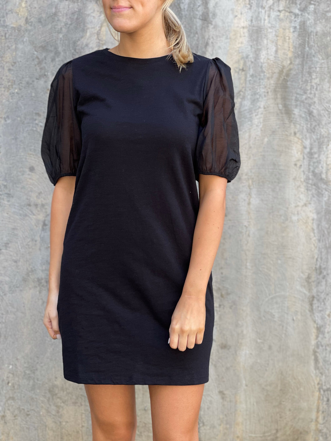Knit Black Dress w/Sheer Sleeves