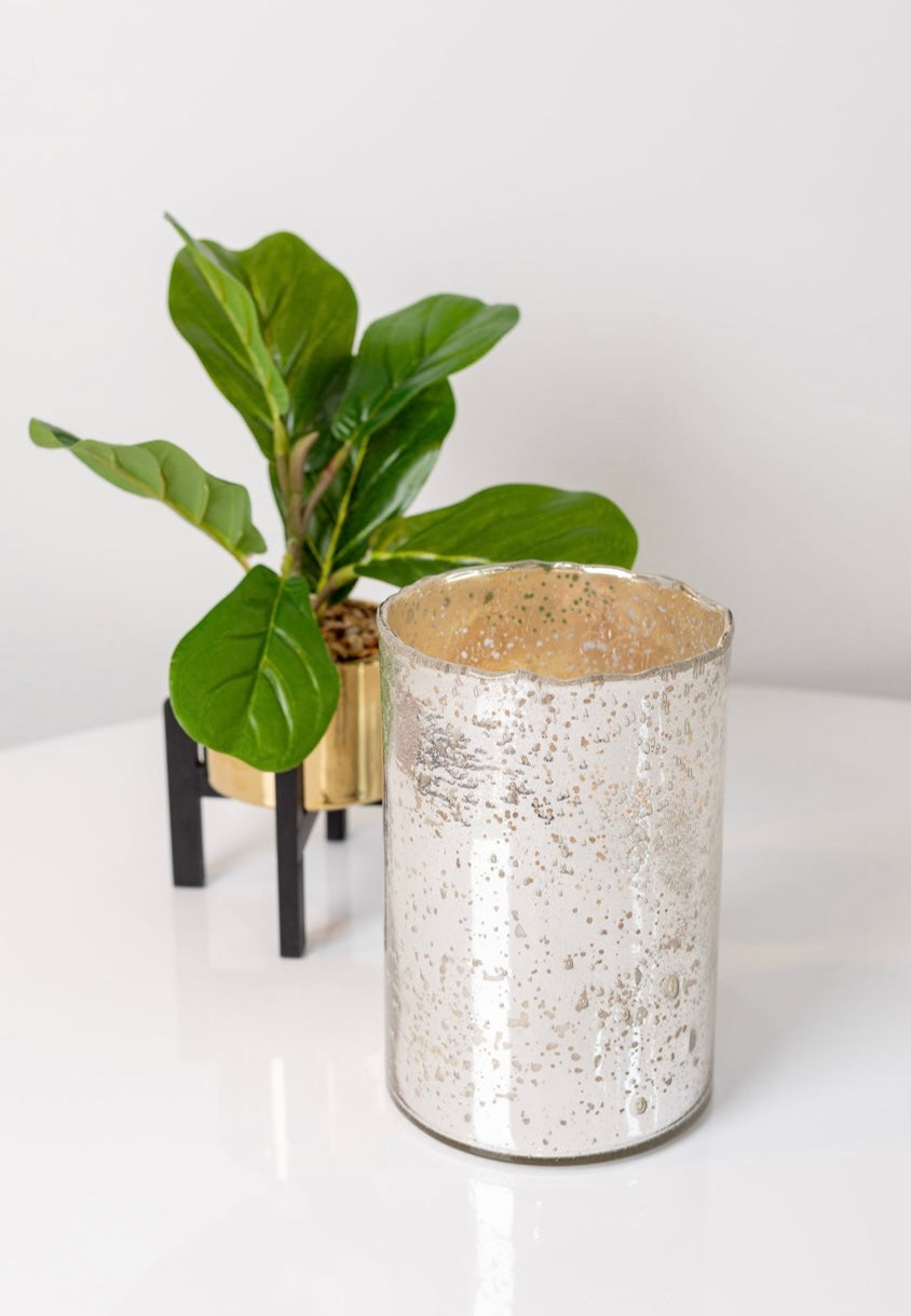 Silver Candle -Grapefruit Pine