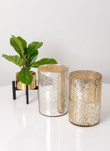 Load image into Gallery viewer, Silver Candle -Grapefruit Pine
