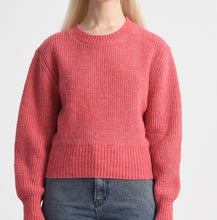 Load image into Gallery viewer, Coral Crewneck Sweater
